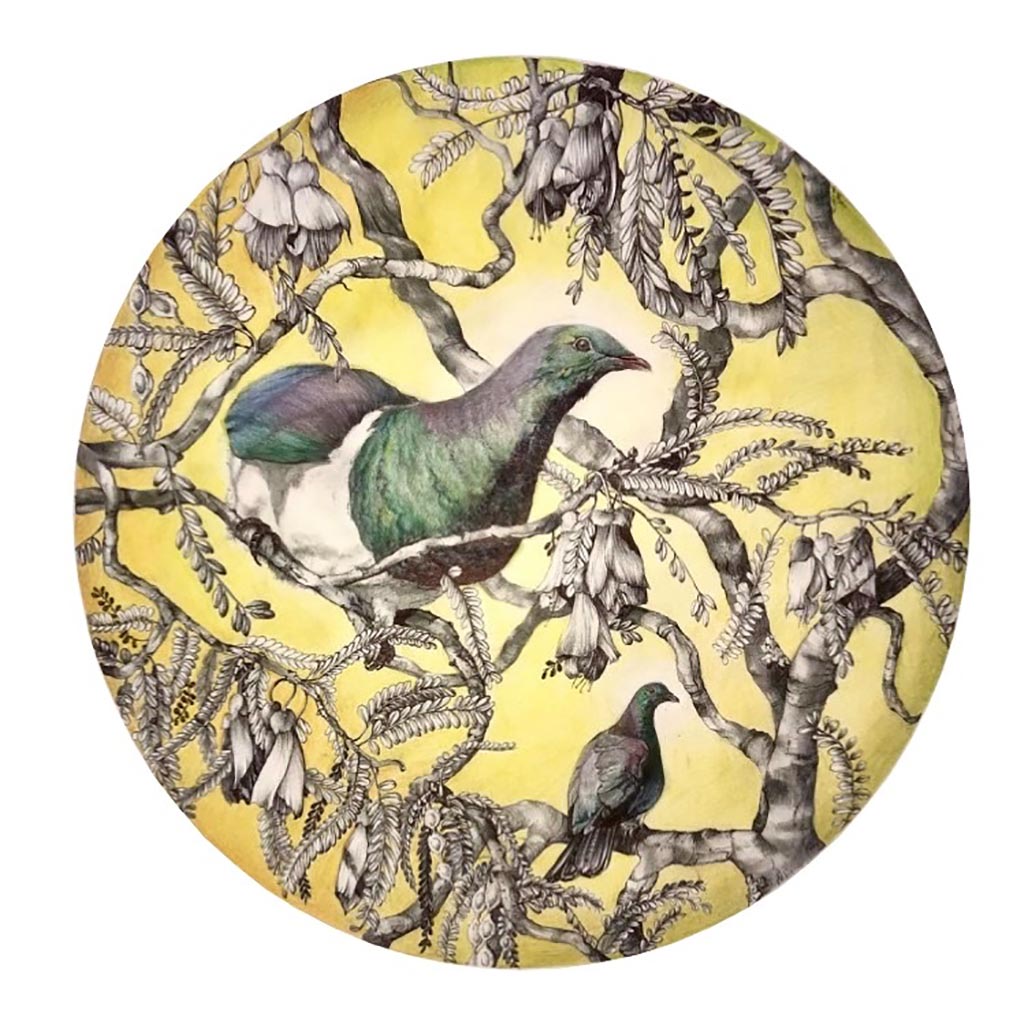 Kukupa/Kereru & Kowhai Blooms