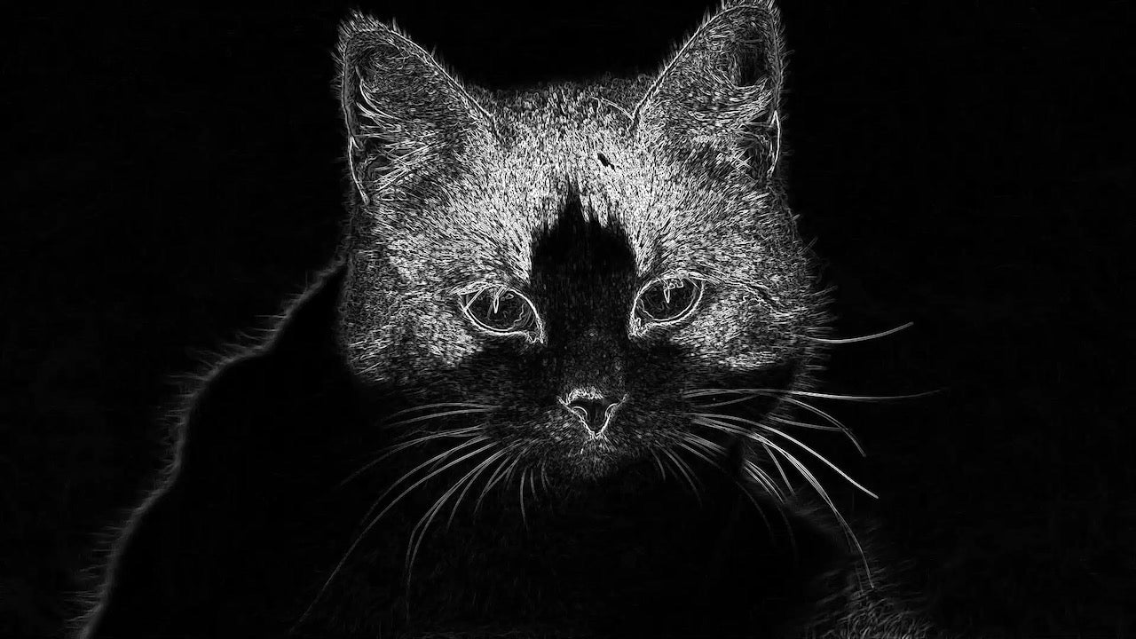 Affectionate Portraits of Furship