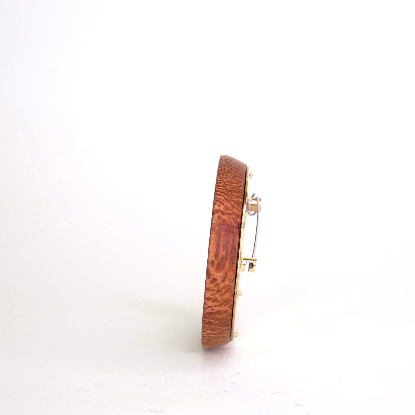 Bird's Eye - brooch
