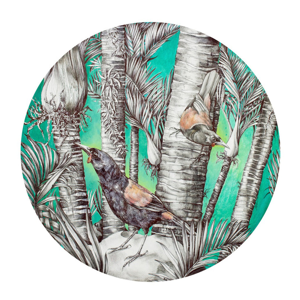 Tieke in the Nikau Grove