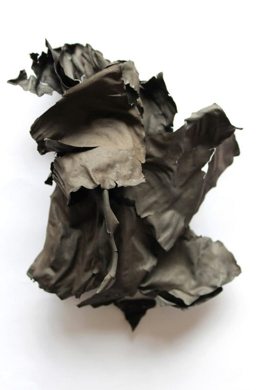 Photograph - Cremation, Letter II